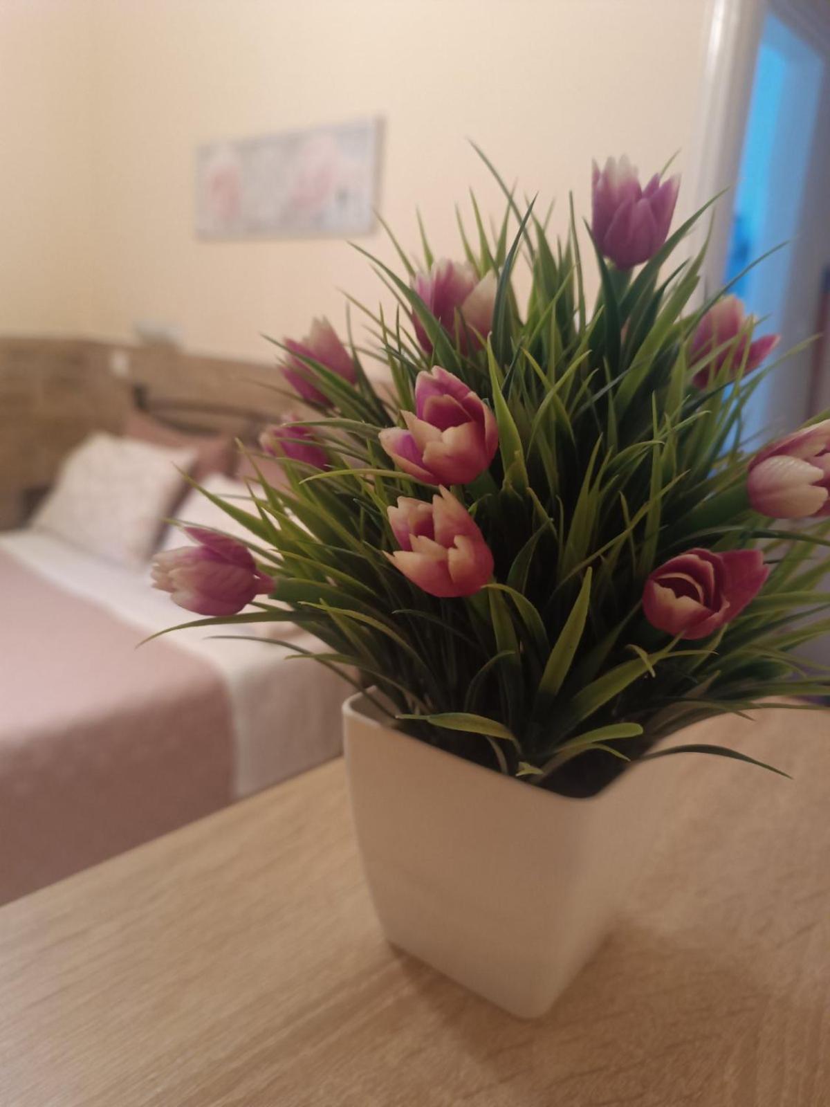 Chris Apartments Corfu Corfu  Екстериор снимка